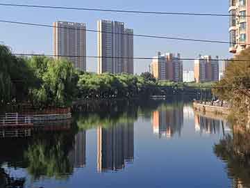 餐饮实习创业周记,